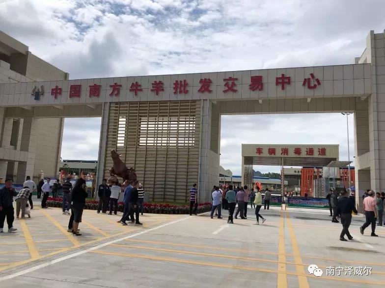 澤威爾參加中國(guó)南方牛羊批發(fā)交易市場(chǎng)開(kāi)業(yè)展覽會(huì)