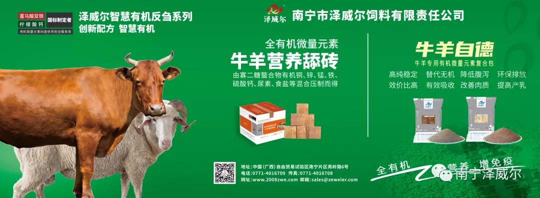 澤威爾參加中國(guó)南方牛羊批發(fā)交易市場(chǎng)開(kāi)業(yè)展覽會(huì)