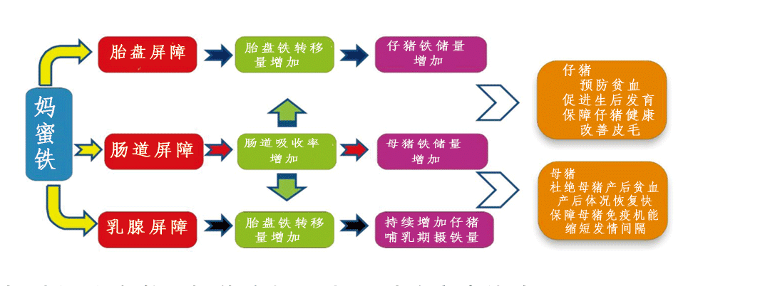 飼料添加劑媽蜜鐵功效