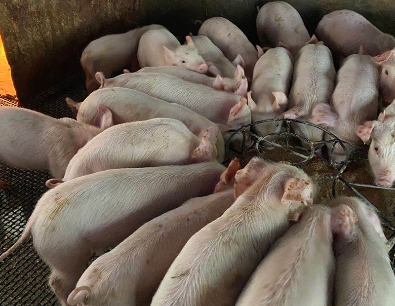 使用冠膚速紅前1