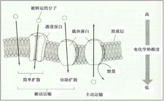 微信圖片_202204301249592
