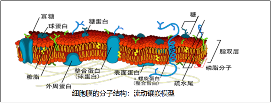 微信圖片_202204301249593