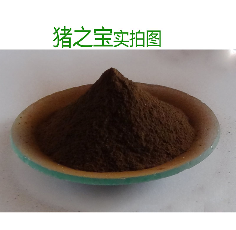 豬之寶實(shí)拍圖