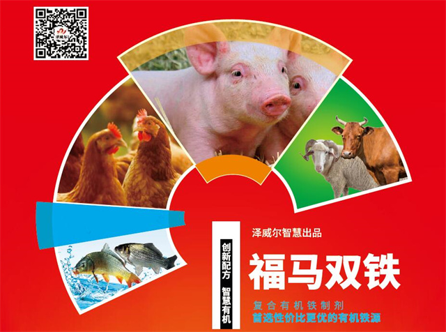 飼料添加劑福馬雙鐵廣告單頁