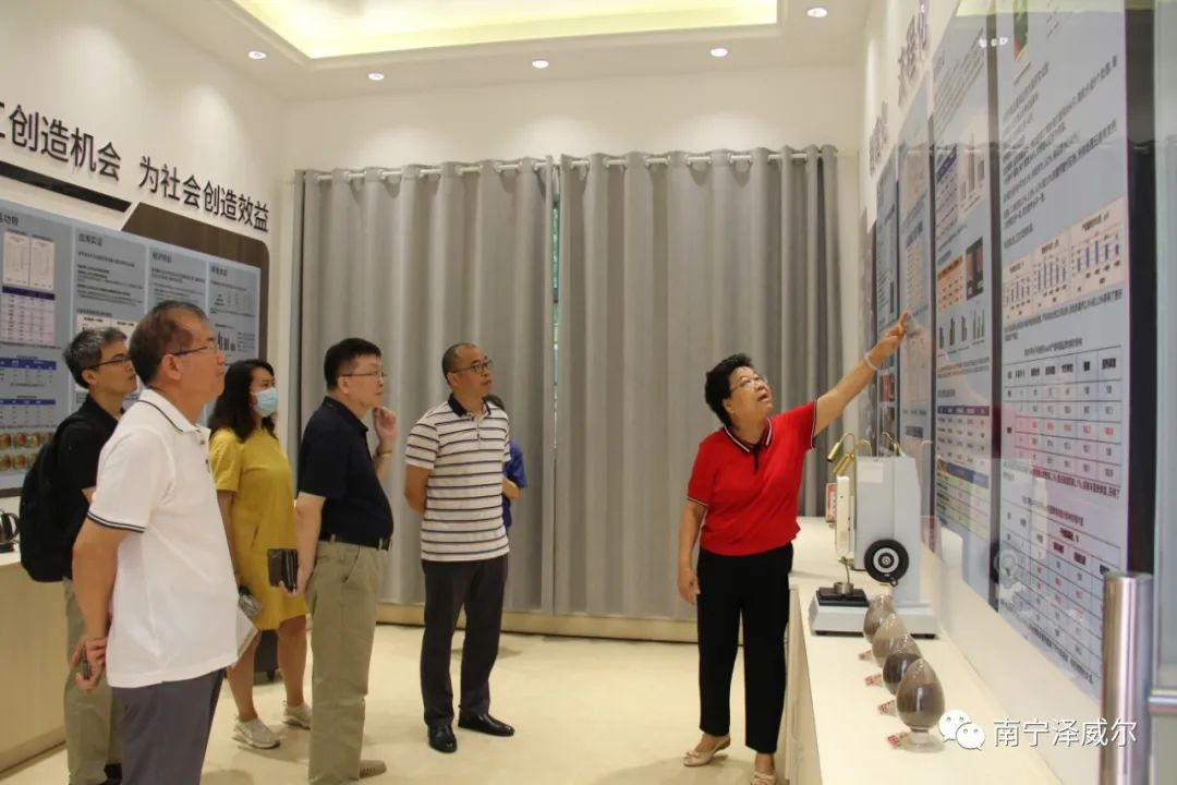 南寧澤威爾技術(shù)成果講解