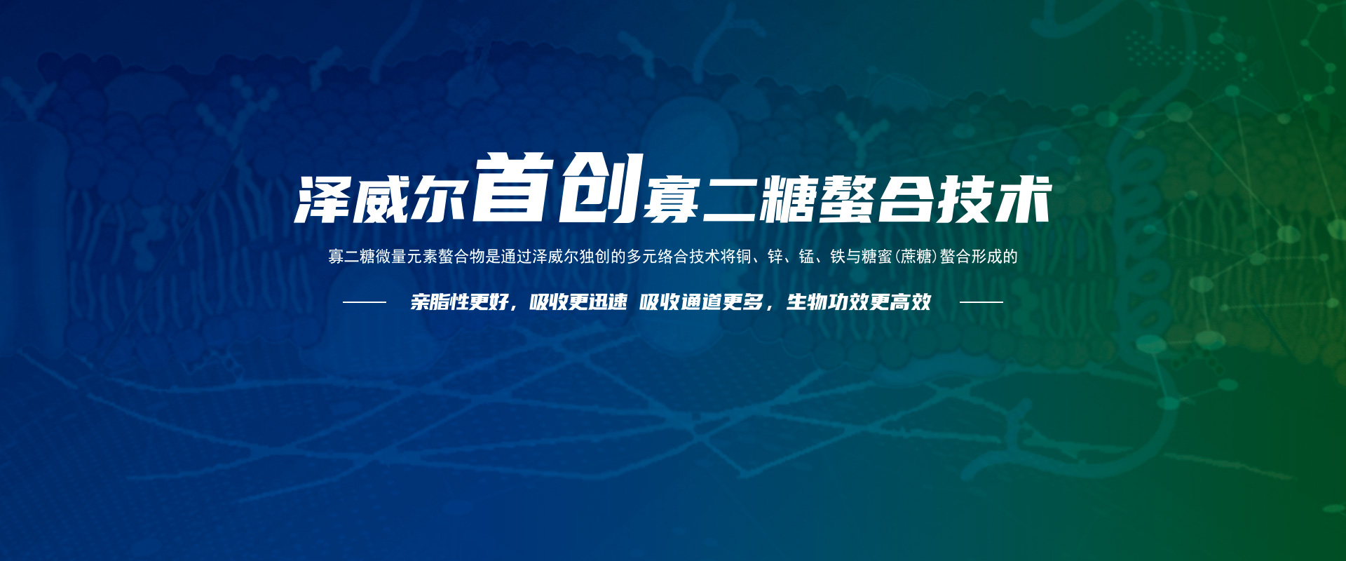 寡二糖技術(shù)