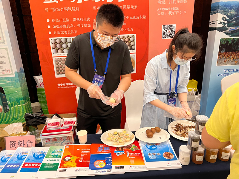 澤威爾蛋雞產(chǎn)品展示
