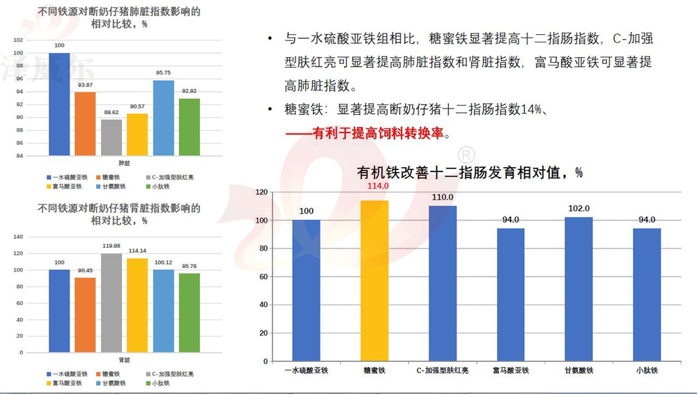 不同飼料添加劑鐵源對(duì)斷奶仔豬肺臟指數(shù)影響的相對(duì)比較