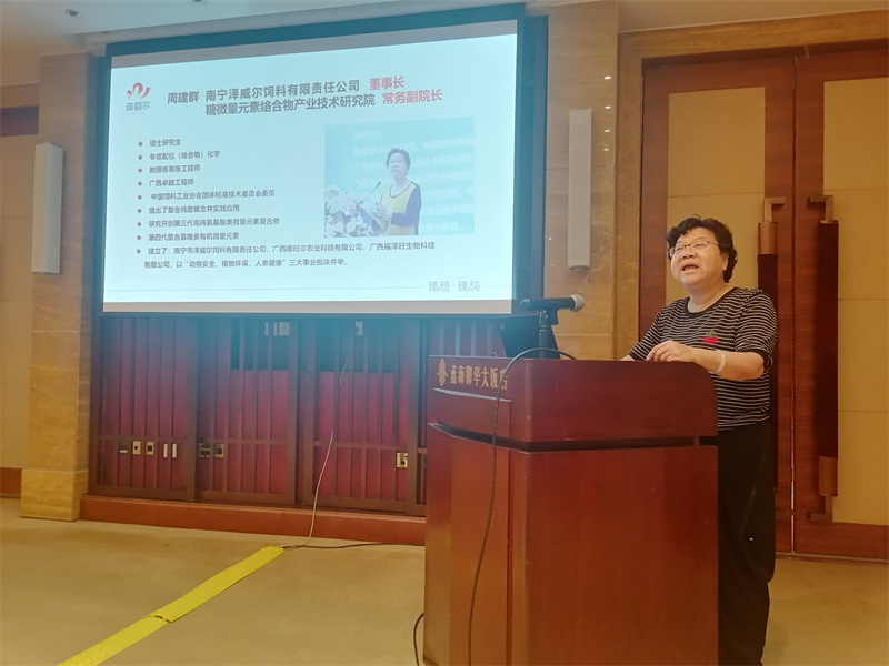 周建群董事長 周建群董事長