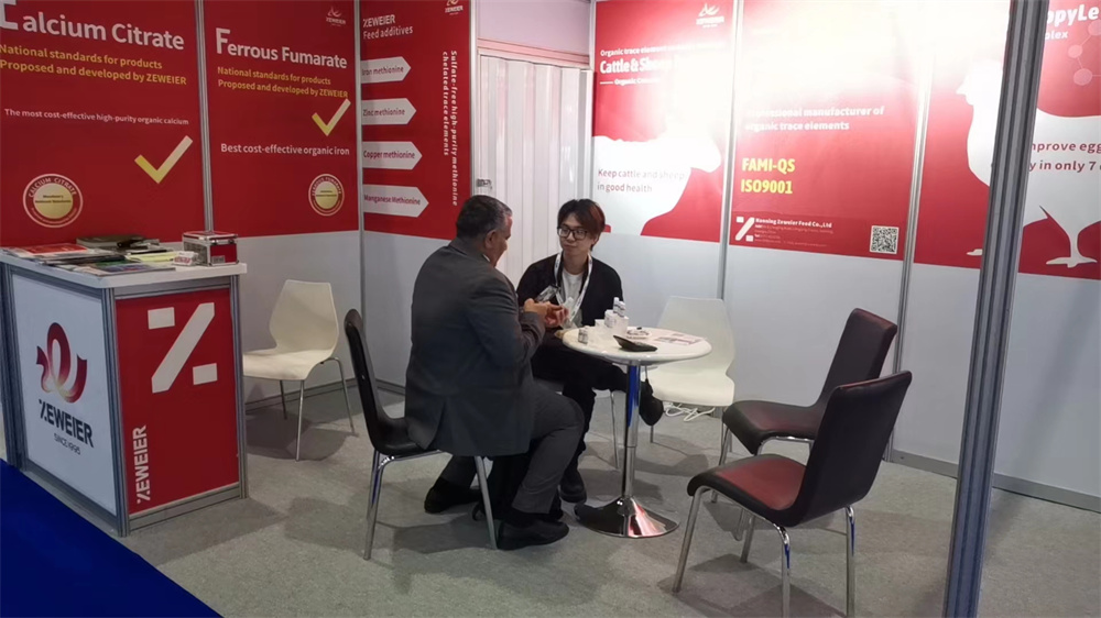 澤威爾總裁莫偉宇與客戶交談