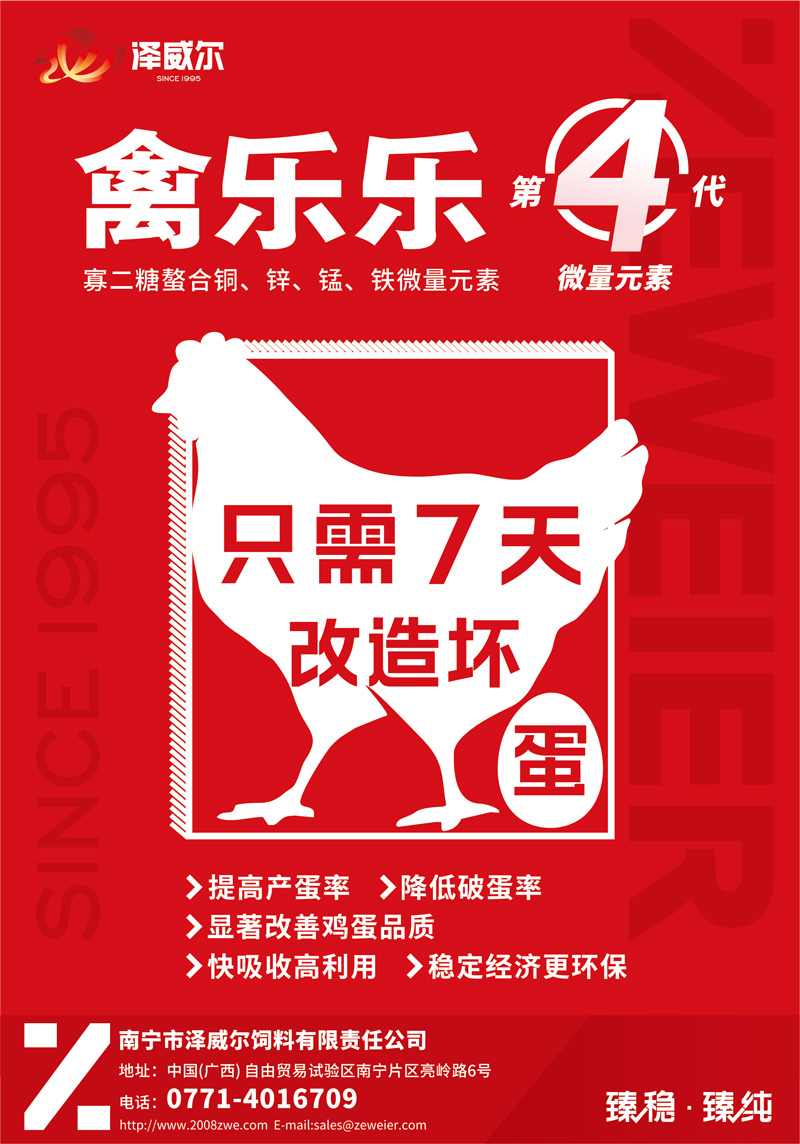 改造壞蛋-只需7天