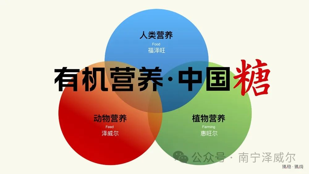 有機營養(yǎng)中國糖 有機營養(yǎng)中國糖